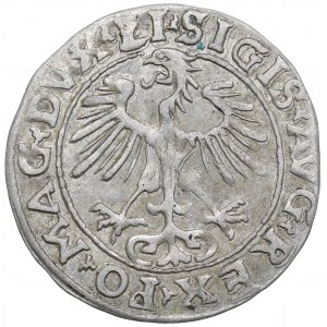 Sigismund II Augustus, Half-penny 1554, Vilnius - rare