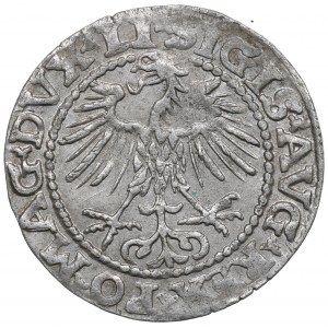 Sigismund II Augustus, Halfgroat 1553, Vilnius
