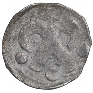 Pommern, Kolberg, Denarius without date