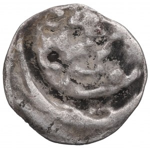 Pommern, Stettin, Denarius without date