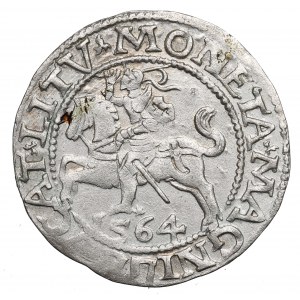 Sigismund II Augustus, Halfgroat 1564, Vilnius - L/LITV