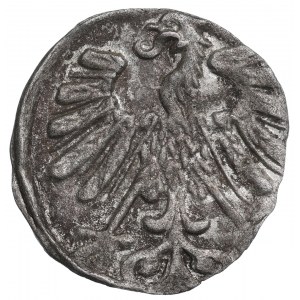 Sigismund II Augustus, Denarius 1558, Vilnius