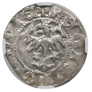 Vladislaus II, halfgroat - NGC MS62