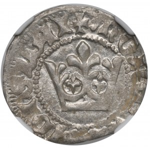 Vladislaus II, halfgroat - NGC MS62