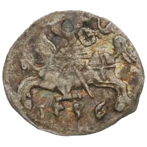 Sigismund II Augustus, Denarius 1556, Vilnius