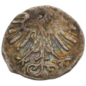 Sigismund II Augustus, Denarius 1556, Vilnius