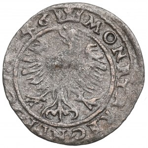 Sigismund I the Old, Groschen 1546, Cracow