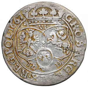 Ján II Kazimír, šiesty z roku 1667, Bydgoszcz - ILUSTROVANÝ kvet medzi štítmi