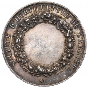 France, Medal Agriculture Society Allier