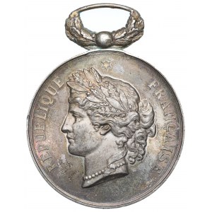 France, Médaille du Prix de l'Académie de Médecine 1883