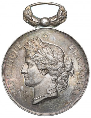 Francia, Medaglia del Premio dell'Accademia di Medicina 1883
