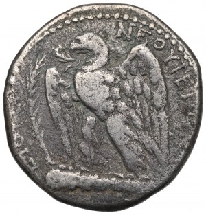 Římské provincie, Sýrie, Vespasián, Tetradrachma Antiochie