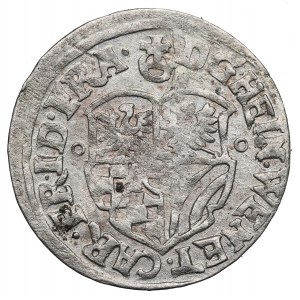 Slesia, Ducato di Oleśnica, Enrico Venceslao e Carlo Federico, 3 krajcars 1621 BH