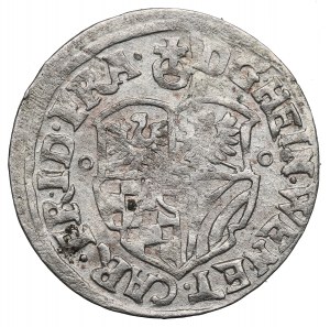 Slezsko, knížectví olešnické, Jindřich Václav a Karel Fridrich, 3 krajcary 1621 BH