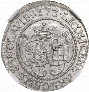 Silésie, Duché de Legnicko-Brzesko-Volov, Ludwika (régente), 6 krajcars 1673, Brzeg - NGC MS64