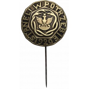 II RP, Odznak Postavili se za sebe 1920