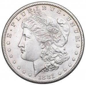 USA, Morgan dollar 1881 S