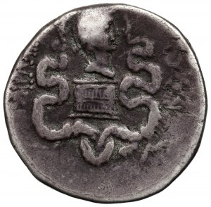 Römische Provinzen, Marcus Antonius und Octavia, Cystophoric tetradrachma