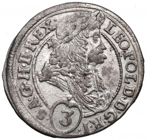 Ungheria, 3 krajcars 1695