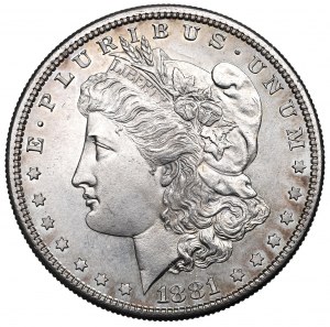 USA, Morgan Dollar 1881 S