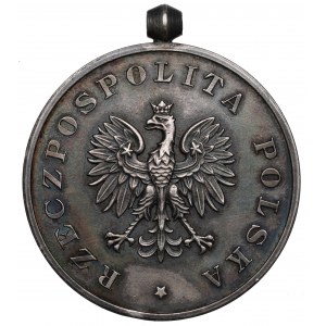 Druhá republika, medaila za záchranu zmiznutých