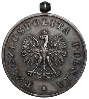 Second Republic, Medal for Rescuing the Disappearing