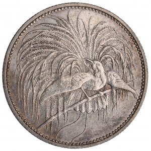 Germany, New Guinea, 1 mark 1894