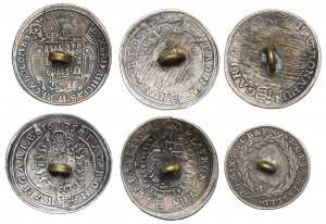 Austria i Węgry, Zestaw guzików z monet