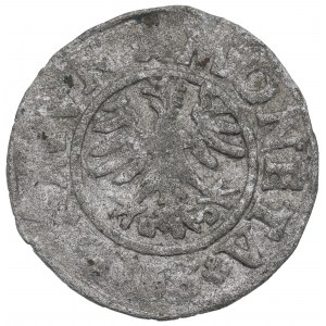 Sigismund I the Old, 3 denarii 1528, Cracow