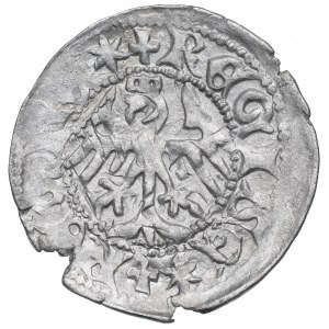 Vladislaus II, halfgroat