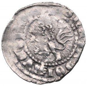Casimiro III il Grande, Trimestrale ruteno, Leopoli