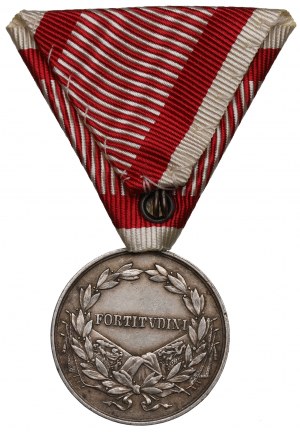 Autriche-Hongrie, Charles, Médaille Fortitvdini