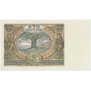 II RP, 100 złotych 1934 BH. dodatkowy znak wodny X