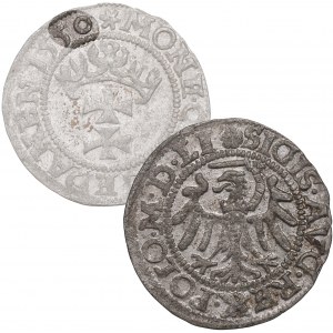 Zygmunt II August, Szeląg 1550, Gdańsk - WYŚMIENITY - RZADKOŚĆ
