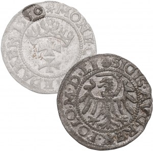 Zygmunt II August, Szeląg 1550, Gdańsk - WYŚMIENITY - RZADKOŚĆ