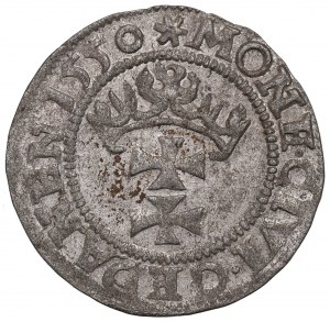 Zikmund II Augustus, Shelagus 1550, Gdaňsk - VÝBORNÝ - RARE