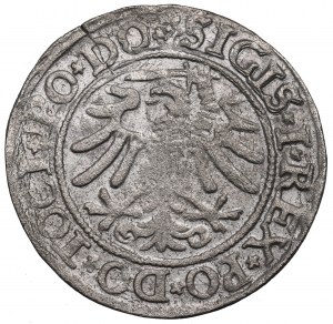 Sigismond Ier le Vieux, Grosz 1533, Elbląg