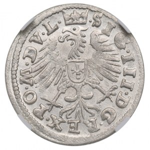 Sigismondo III Vasa, centesimo del 1608, Vilnius, NGC MS65 - OKAZOWY