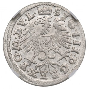 Sigismond III Vasa, penny 1608, Vilnius, NGC MS65 - OKAZOWY