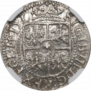 Sigismondo III Vasa, centesimo 1616, Riga - NGC MS62