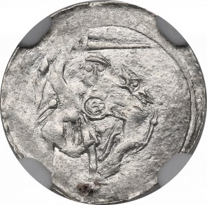 Władysław II Wygnaniec, Kraków, denar, walka z małym lwem - NGC MS63