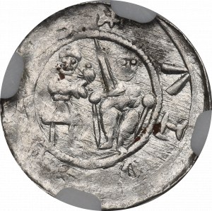 Władysław II Wygnaniec, Kraków, denar, walka z małym lwem - NGC MS63