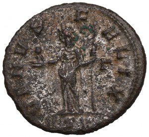 Roman Empire, Severina, Denarius