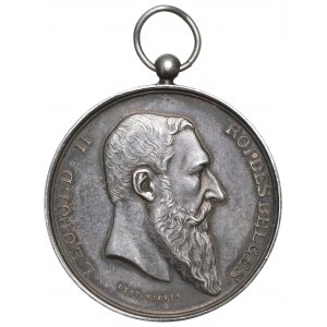 Belgia, Medal nagrodowy 1901