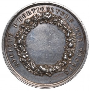 France, Medal Agriculture Society Vosges