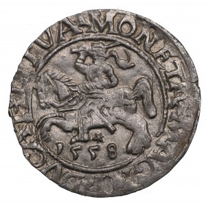 Sigismund II Augustus, Halfgroat 1558, Vilnius