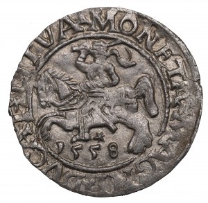 Sigismond II Auguste, demi-penny 1558 Vilnius - LI/LITVA