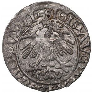 Sigismondo II Augusto, mezzo penny 1558 Vilnius - LI/LITVA