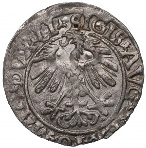 Sigismund II Augustus, Halfgroat 1558, Vilnius