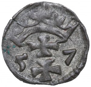 Sigismund II Augustus, Denarius 1557, Gdańsk